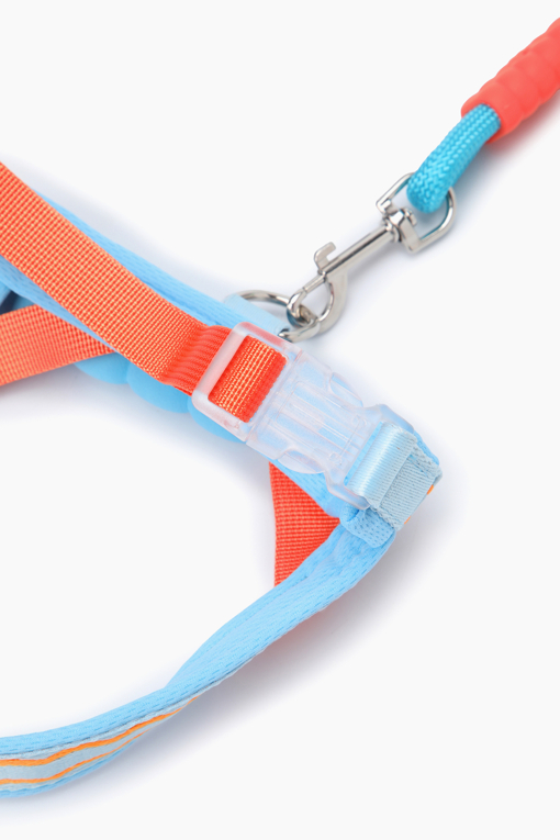 https://img.benettonmall.com/PARTS/KO/26F/QCETG2661BL_MB_D5.jpg